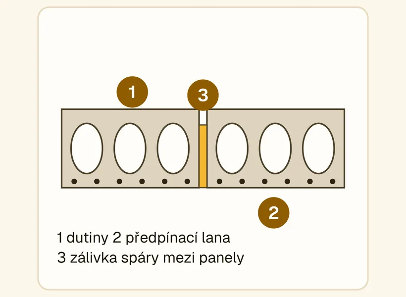 Řez předpjatým dutinovým panelem: dutiny v betonu, předpínací lana u spodního líce, zálivka spáry mezi dvěma panely.
